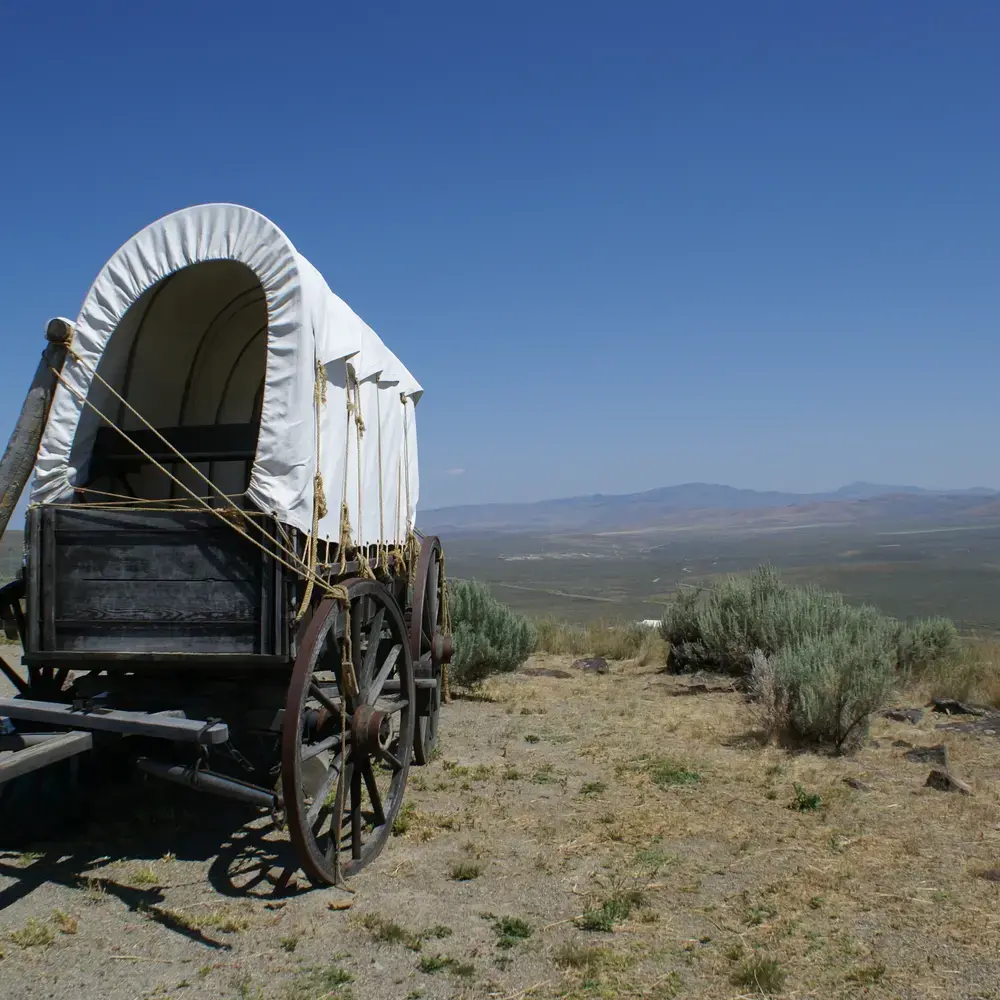  Lay Summary Development: The Oregon Trail of Regulatory Writing