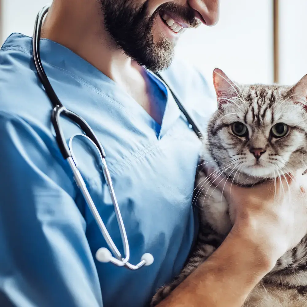 The Quality Review of Documents (QRD) v9.0 for Veterinarians: A Step Toward Better Care