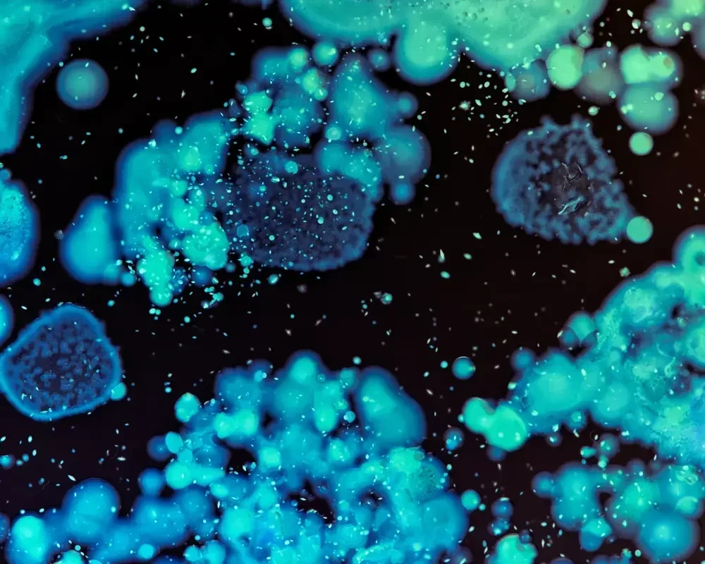Mold