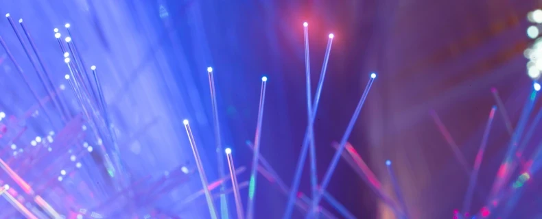 Purple and Pink abstract connectors