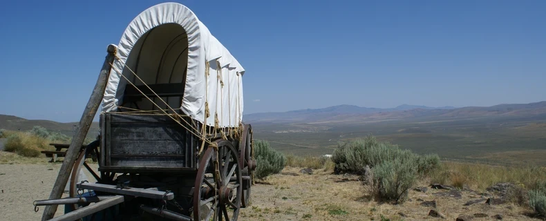Lay Summary Development—The Oregon Trail of Regulatory Writing