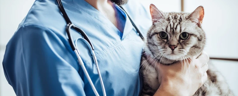 The Quality Review of Documents (QRD) v9.0 for Veterinarians: A Step Toward Better Care