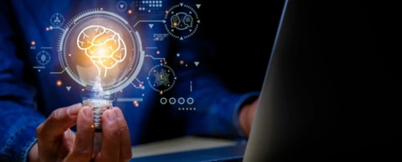 Website localization fact sheet